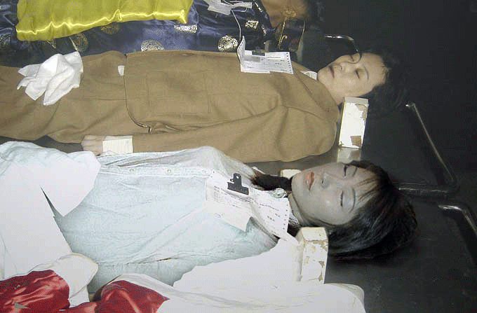 680_447 gif 动态图 动图