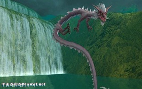 中国青海湖惊现真龙!(不知道是不是真的)
