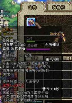 dnf宠物词典,土豪们,你们拥有几个?