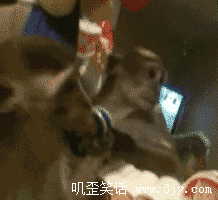 猴子打开手机前置摄像头的反应.gif