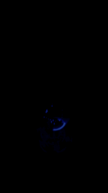 凤凰.gif