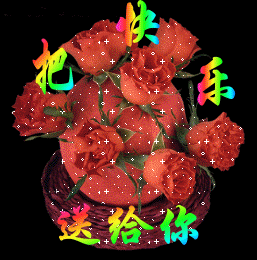 【玫瑰小镇】┈━═の结交花友专用贴