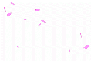 麻烦斑斑帮我换下图片格式