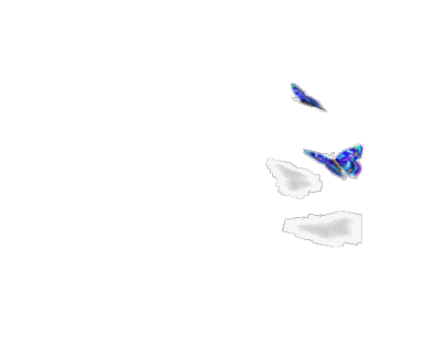 (晒晒原创)搞些素材 - 美图一条街 - 《qq炫舞》官方