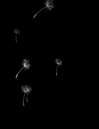 求动态素材 - 美图一条街 - 《qq炫舞》官方论坛 -