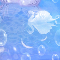 (66楼 分割线 停~) 天鹅头像 跟个风