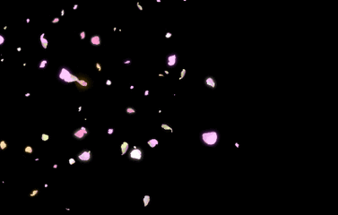 花瓣飘落.gif