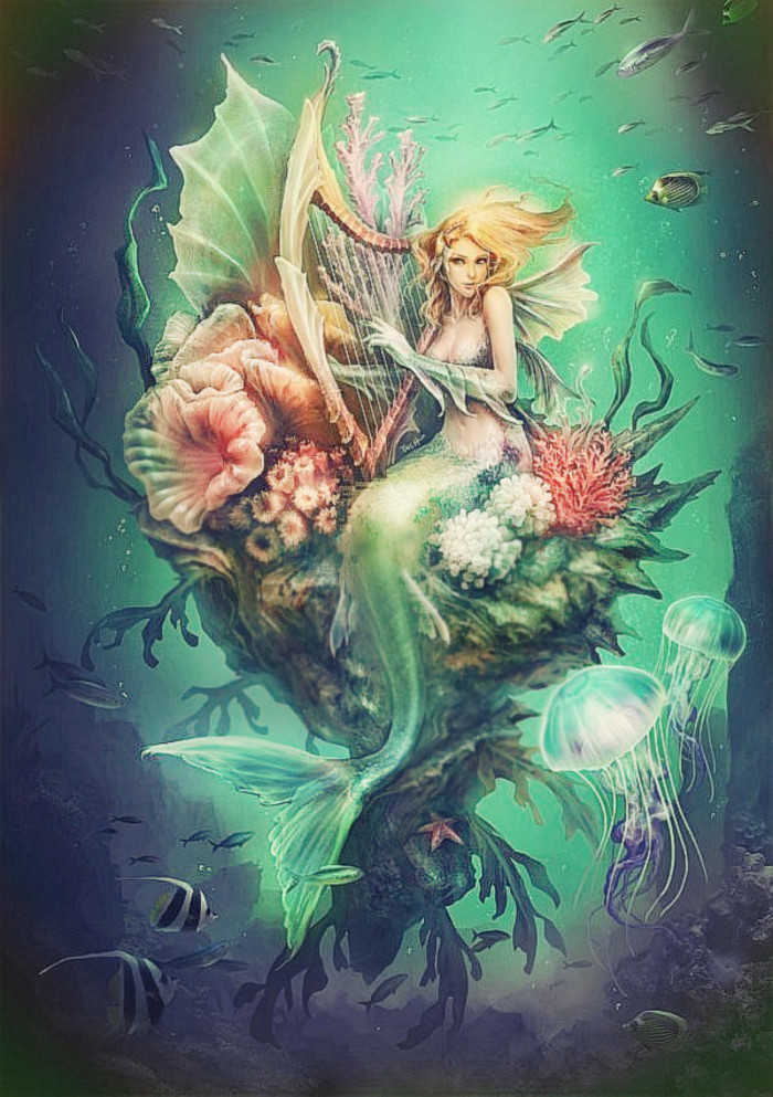 人鱼图 ~~~已经有好心的人分享了 ,需要的进来抱图