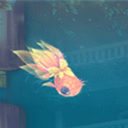 壁纸 动物 鱼 鱼类 180_180 gif 动态图 动图