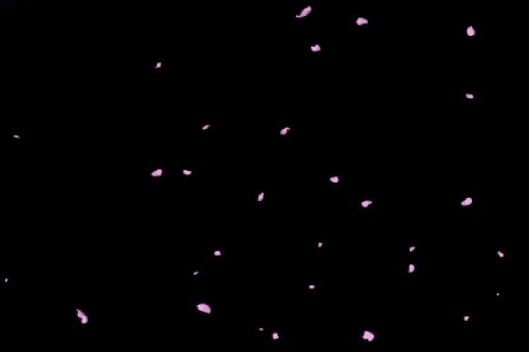 背景 壁纸 皮肤 星空 宇宙 桌面 580_386 gif 动态图 动图