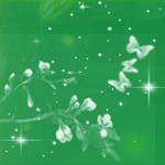 8.gif (0 bytes, 下载次数: 0)