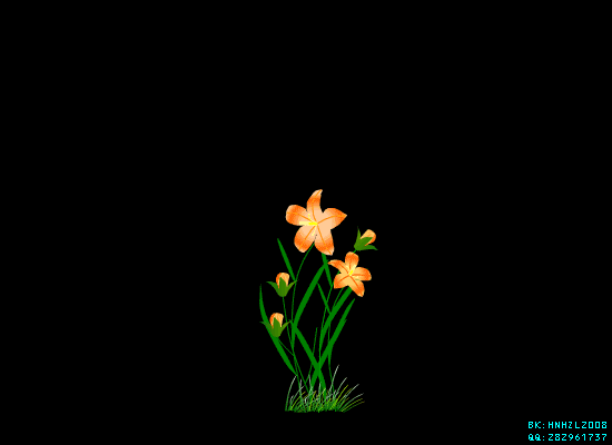 花草鸟的动态素材 免扣 美图