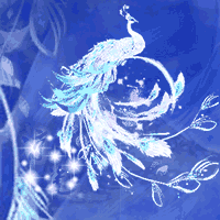 孔雀.gif