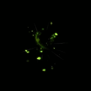 游戏技能加一些花草 - 美图一条街 - 炫舞玩家论坛 (`