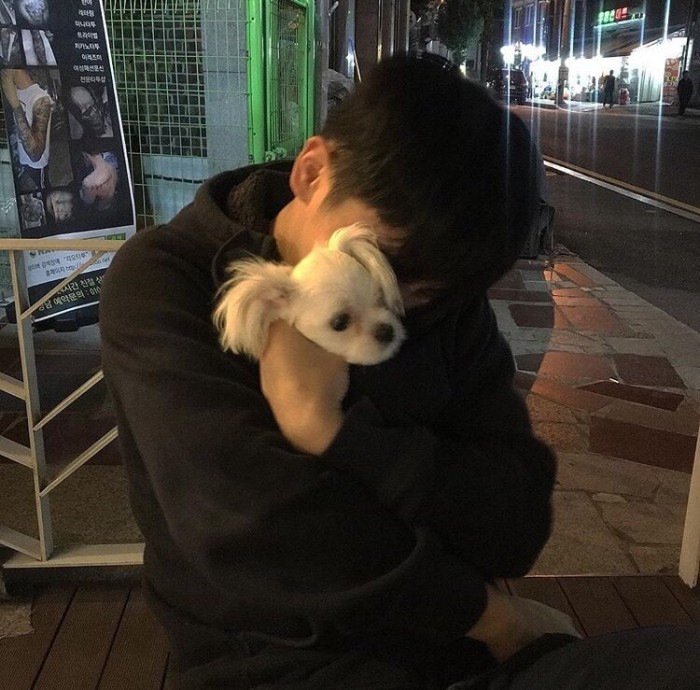 求抱狗狗的头像啦
