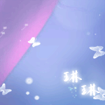 琳琳.gif