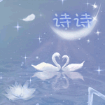 莲与天鹅诗诗.gif