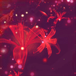 太阳求彼岸花头像