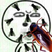 180_180gif 动态图 动图