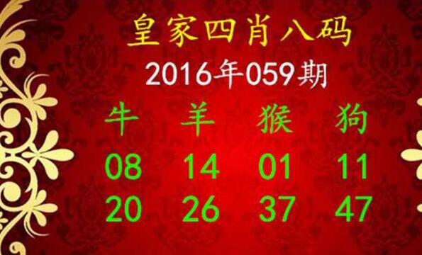 皇家四肖八码