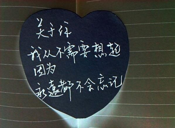 明天我们会再见