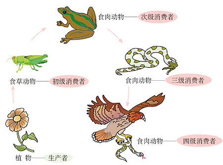 希望天刀的生态系统更加符合大自然规则
