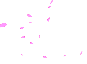 花瓣.gif