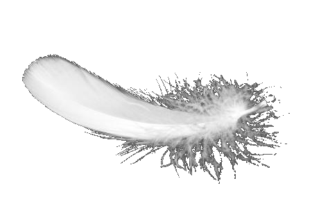 求好看的简单的情侣装透明图!感谢!最喜欢羽毛的