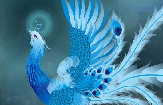 区 69 我要风火轮 周董啊,你把火凤给我们了,青鸾什么时候给我们,我